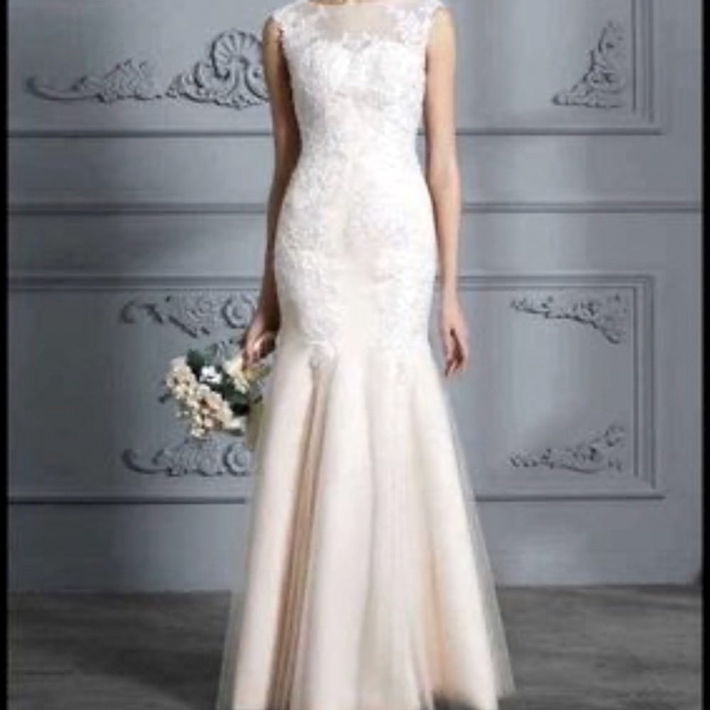 NEW- Beautiful Champagne/ Lace Accent Wedding Dress. Size 14